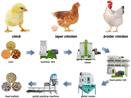 37KW 380V Adult Chicken Cow Feed Production Line 5TPH