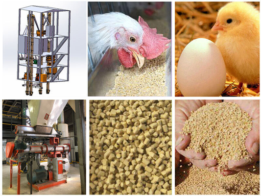 160kw Large Scale Poultry Pellet Making Machine For Making Chicken Feed